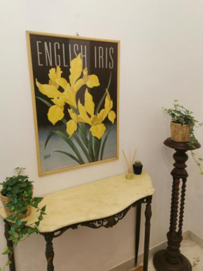 Iris
